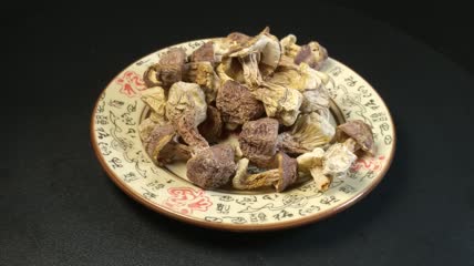 干松茸食用菌实拍（17）