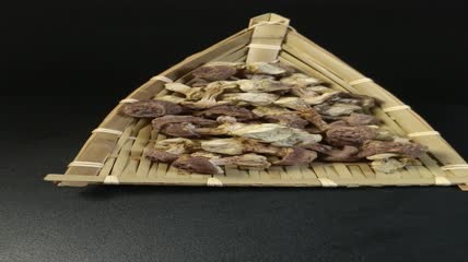 干松茸食用菌实拍（18）