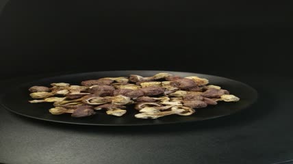 干松茸食用菌实拍（20）