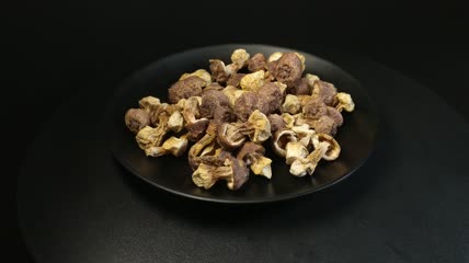 干松茸食用菌实拍（21）