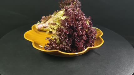 蔬菜食物红珊瑚生菜4K实拍视频（3）