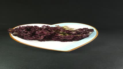 蔬菜食物红珊瑚生菜4K实拍视频（4）