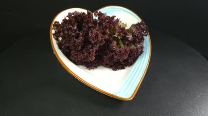 蔬菜食物红珊瑚生菜4K实拍视频（5）