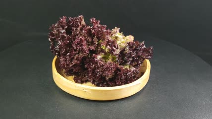 蔬菜食物红珊瑚生菜4K实拍视频（7）