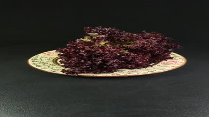 蔬菜食物红珊瑚生菜4K实拍视频（8）