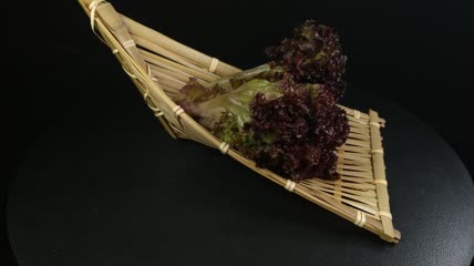蔬菜食物红珊瑚生菜4K实拍视频（9）