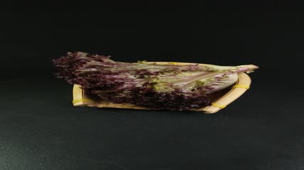 蔬菜食物红珊瑚生菜4K实拍视频（12）