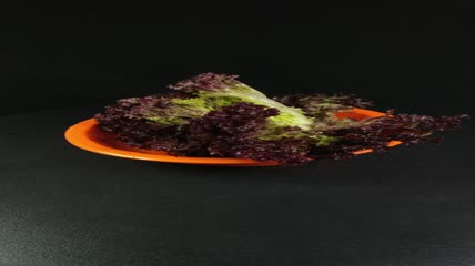 蔬菜食物红珊瑚生菜4K实拍视频（14）