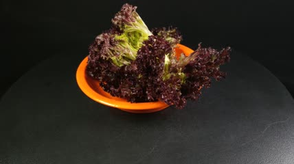 蔬菜食物红珊瑚生菜4K实拍视频（15）