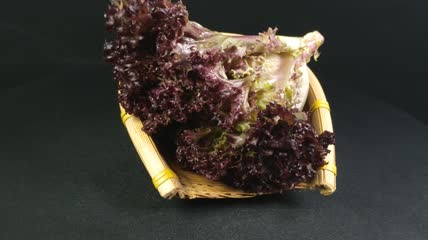 蔬菜食物红珊瑚生菜4K实拍视频（16）