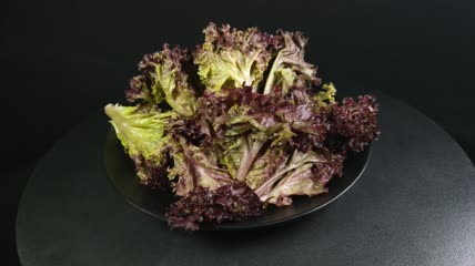 蔬菜食物红珊瑚生菜4K实拍视频（19）