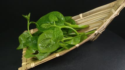 木耳菜有机生态蔬菜4K实拍视频（1）