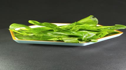 木耳菜有机生态蔬菜4K实拍视频（6）