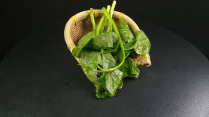 木耳菜有机生态蔬菜4K实拍视频（10）