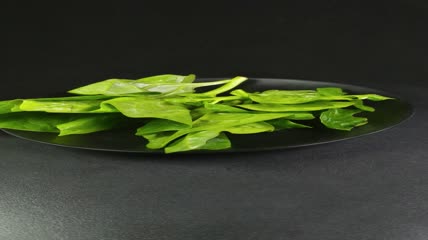 木耳菜有机生态蔬菜4K实拍视频（11）