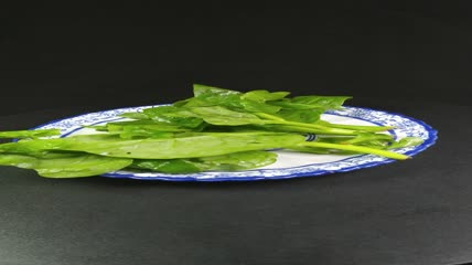 木耳菜有机生态蔬菜4K实拍视频（12）
