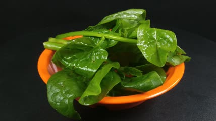木耳菜有机生态蔬菜4K实拍视频（14）
