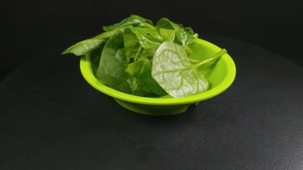 木耳菜有机生态蔬菜4K实拍视频（15）