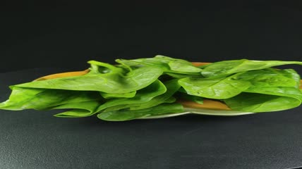 木耳菜有机生态蔬菜4K实拍视频（20）