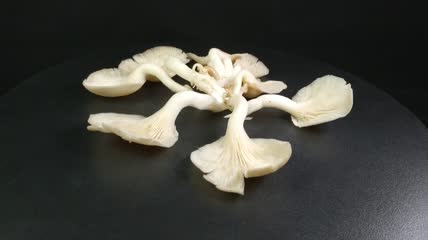 蔬菜美食平菇菌4K实拍视频（22）