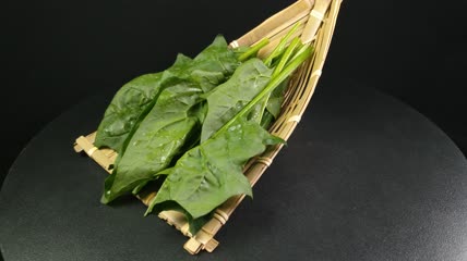 有机生态蔬菜菠菜4K实拍视频