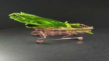 有机生态蔬菜菠菜4K实拍视频