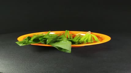 有机生态蔬菜菠菜4K实拍视频