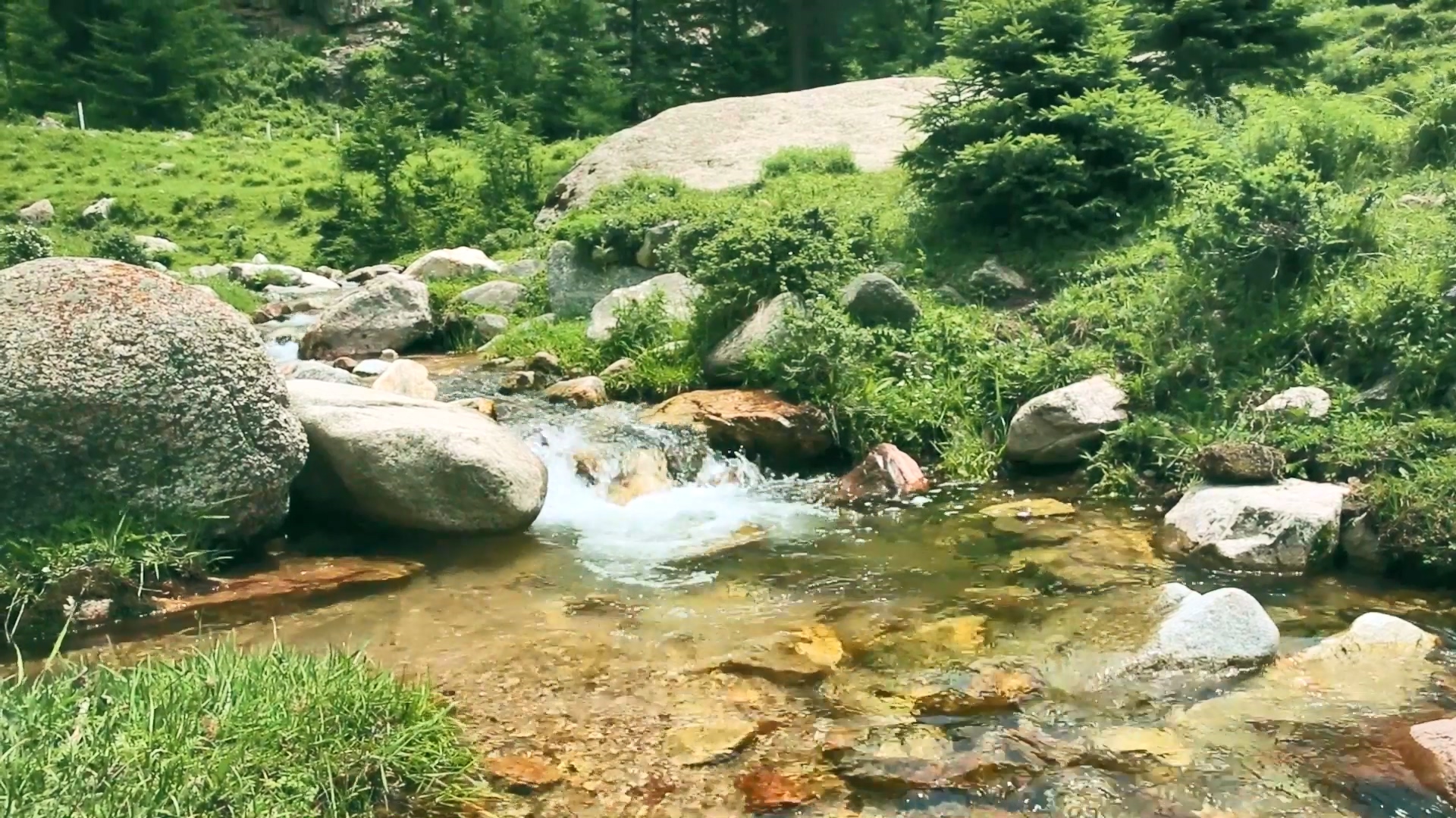小溪河流自然风景视频素材