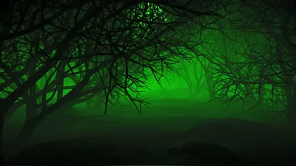 绿色薄雾树枝交错森林动画素材