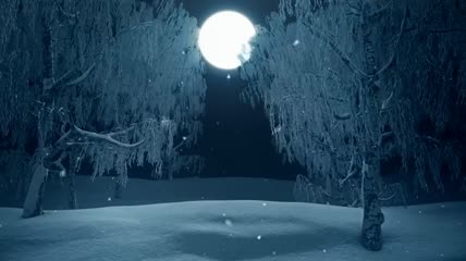 冬日森林走向满月3D视频