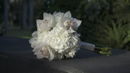 带白色花朵的新娘花束特写实拍