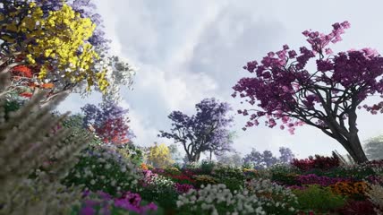 花园五颜六色的花朵视频素材