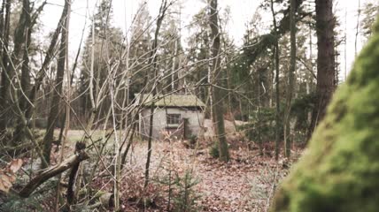 秋天森林里废弃的棚子实拍