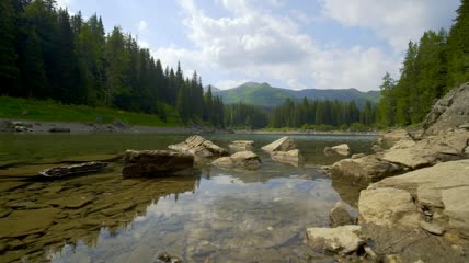 森林景观中清澈湖泊和岩石实拍视频