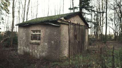 森林里的旧棚屋特写实拍