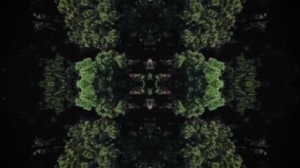 森林里的树木剪辑图案拼接视频素材