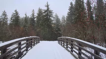 实拍森林中白雪覆盖的桥梁