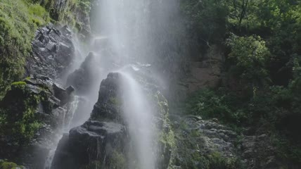 森林中的瀑布特写实拍
