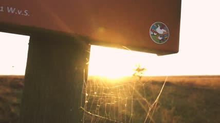 沙漠中的日落实拍视频