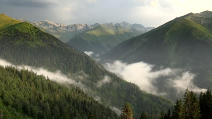 山林中形成的云朵实拍视频