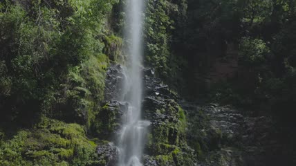 树林中的瀑布近景实拍