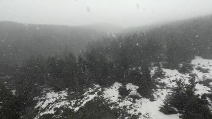 航拍松林里的暴风雪