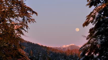 黄昏森林雪景和空中圆月实拍