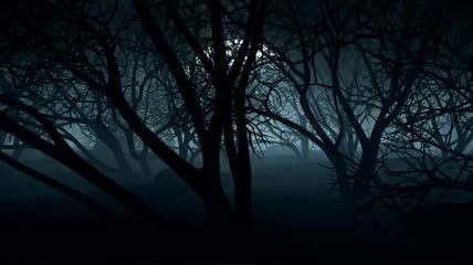 万圣节满月之夜的黑暗森林视频素材