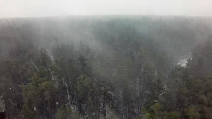 无人机航拍雪地迷雾森林