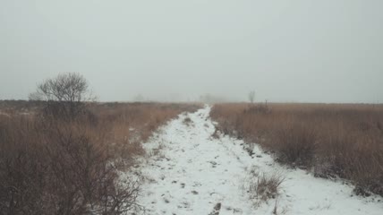 雾气弥漫的荒野雪路实拍