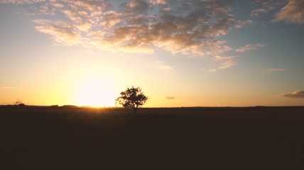 夕阳笼罩下的干草田野实拍