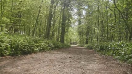 夏季在森林跑步实拍