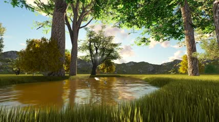 夏季森林中美丽的湖泊视频素材