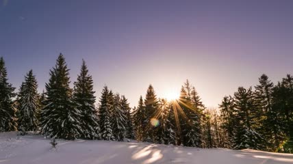 雪林松林后的极光实拍